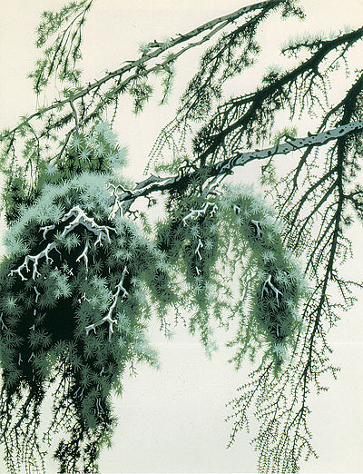 Pine Branch