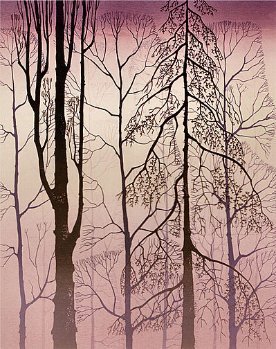 Winter Woods