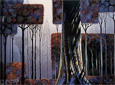 Ancient Forest