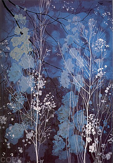 Delphinium