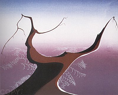 Desert Tree
