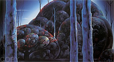 Moonlit Eucalyptus