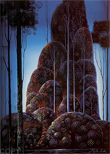 Tall Trees