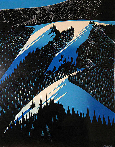 Black Evergreen Forest