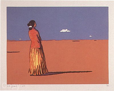 Navajo Summer