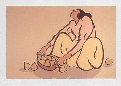 Cocheta