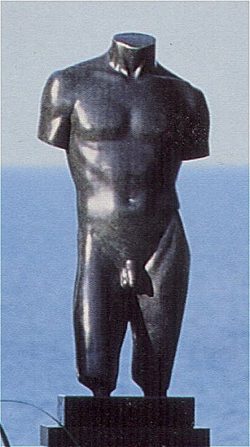 Torso: Male