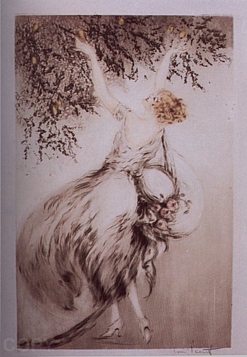 Lemon Tree