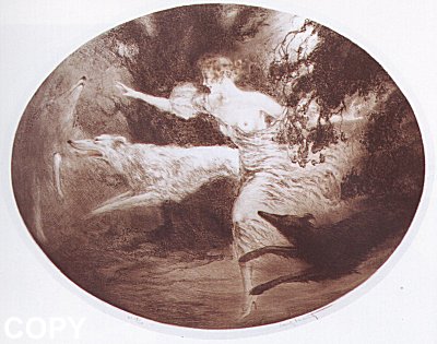 Diania Coursing