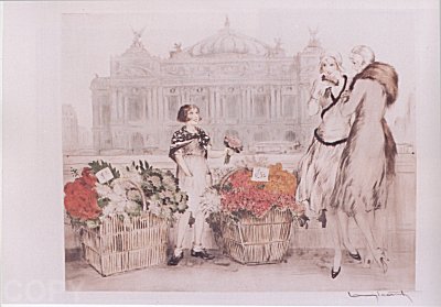 Paris Flowers