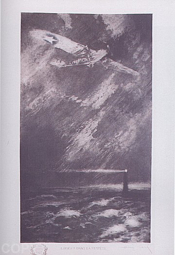 Bird in the Tempest