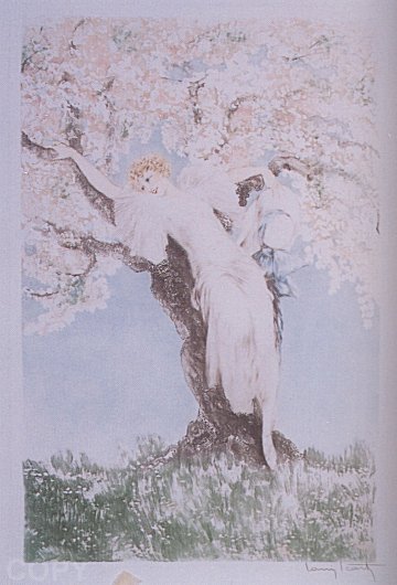 Spring Blossoms