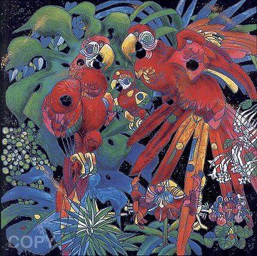 Birds of Paradise