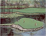 Sawgrass #17