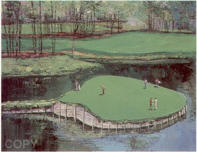 Sawgrass #17