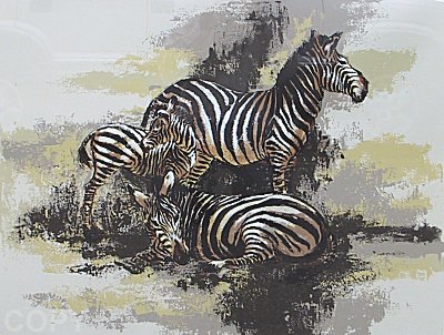 Zebras