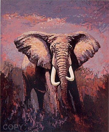 Lone Tusker