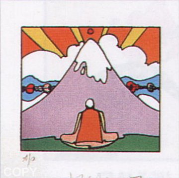 Sage by Mountain