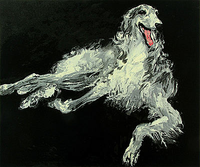 Borzoi