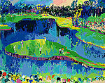 Island Hole at Sawgrass