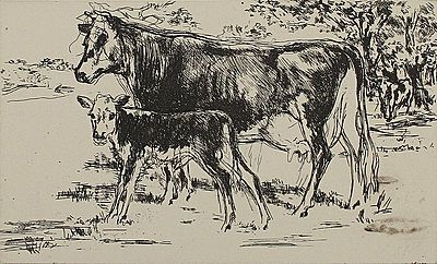 Bovine Family