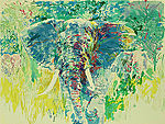 Bull Elephant