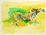 Cheetah