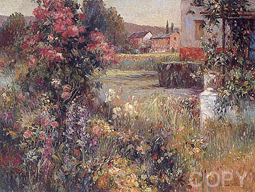 Climbing Roses
