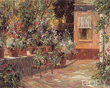 The Patio