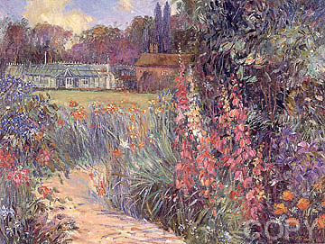 Wildflowers