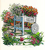The Side Garden