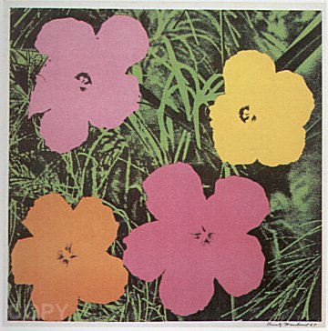 Flower, II.6