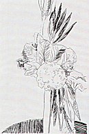 Flowers, II.100