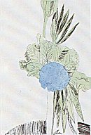 Flowers, II.110