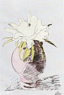 Flowers, II.114
