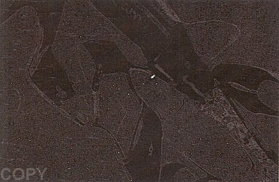 Shoes (Deluxe Edition), II.250
