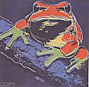 Pine Barrens Tree Frog, II.294