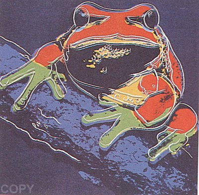 Pine Barrens Tree Frog, II.294