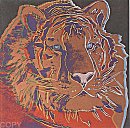 Siberian Tiger, II.297