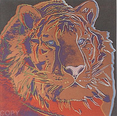 Siberian Tiger, II.297