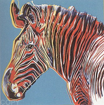 Grevy's Zebra, II.300