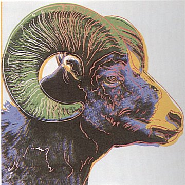 Bighorn Ram, II.302