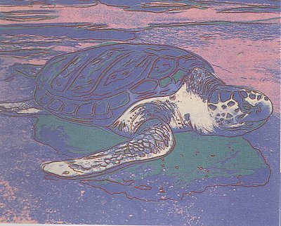 Turtle, II.360A