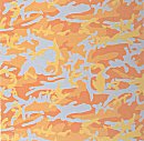 Camouflage, II.413