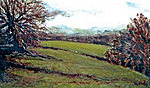 Irish Landscape