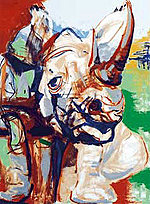 Rhino