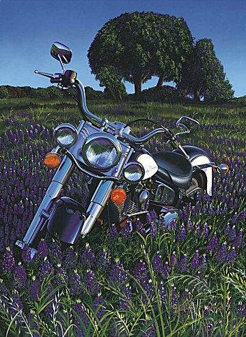 Field of Dreams