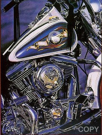 Live to Ride (White Paper)