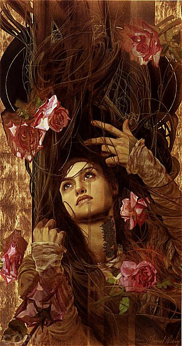 Beyond the Veil